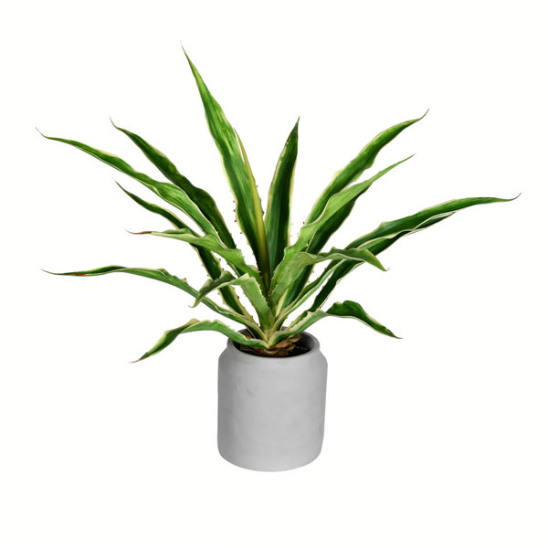Latitude Run® Artificial Yucca Plant in Pot Wayfair.ca